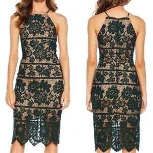 Bardot Mila midi dress lace green forest with beige lining M